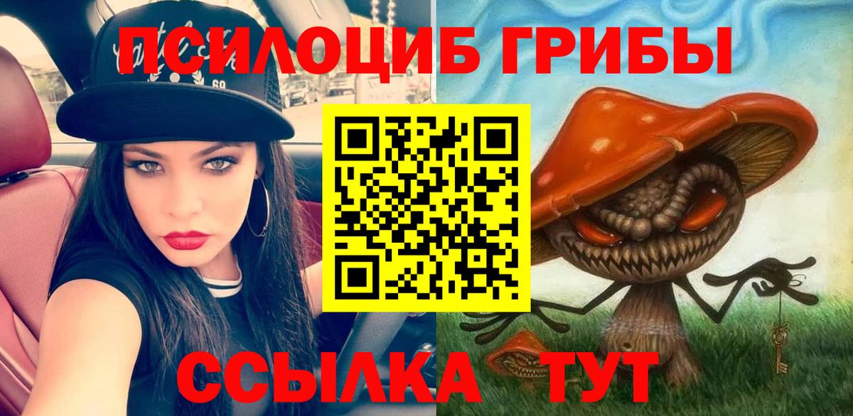 как найти наркотики  Галлюциногенные грибы Psilocybe  Вход с VPN  Дзержинск  Псилоцибиновые грибы мухоморы 